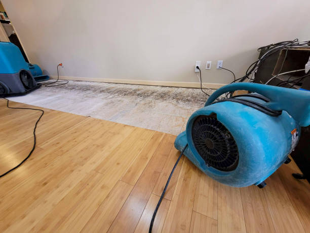 Professional Water Damage Repair technician working in Parker Dam, CA